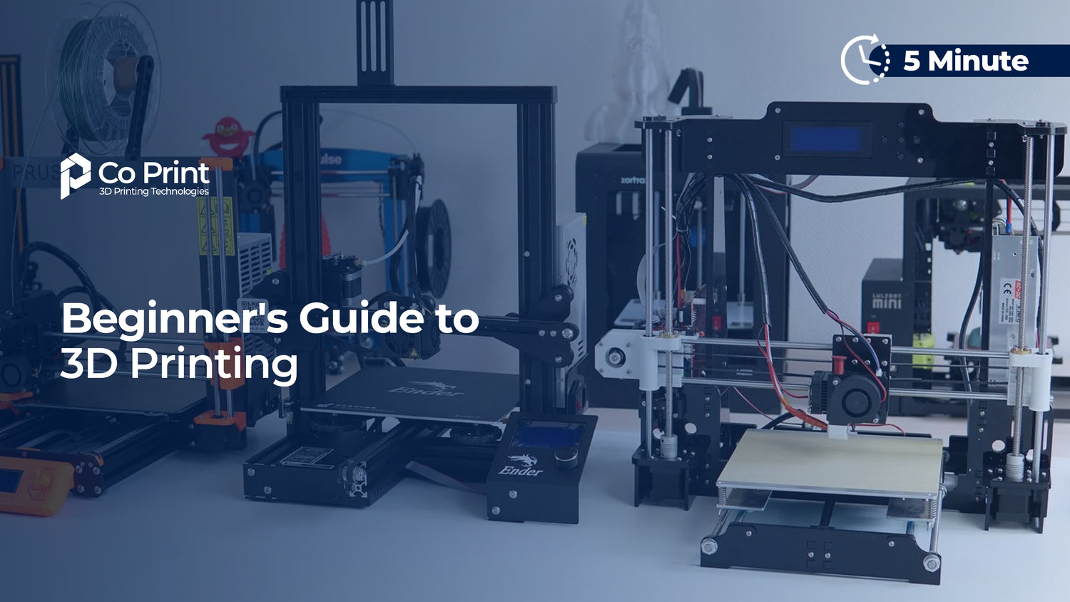 Beginner's Guide to 3D Printing – Co Print